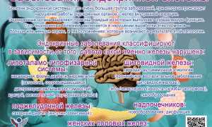 Заболевания эндокринной системы, нарушения. Симптомы, список болезней