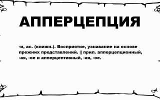Апперцепция в психологии. Что это такое, определение: восприятия, трансцендентальная, временная, общая, Вундта