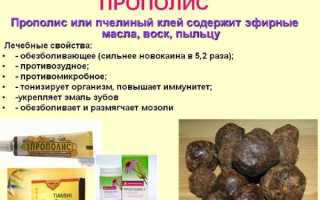 Молоко с прополисом на ночь. Польза, рецепт от кашля, при панкреатите, для поджелудочной железы, желудка, иммунитета