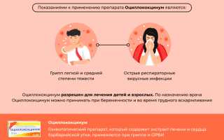 Оциллококцинум при беременности 1-2-3 триместр. Инструкция по применению, отзывы