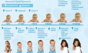 Прививки детям. График до 1 года по месяцам, таблица