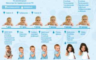 Прививки детям. График до 1 года по месяцам, таблица