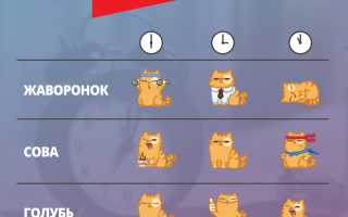 Жаворонок, сова, голубь. Типы людей, как определить