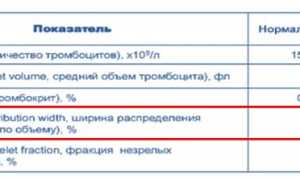 MPV (средний объем тромбоцитов) в анализе крови. Что это такое, норма
