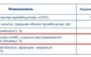 MPV (средний объем тромбоцитов) в анализе крови. Что это такое, норма