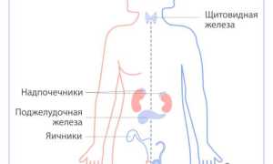 Гормональная терапия. Что это для мужчин, женщин, виды