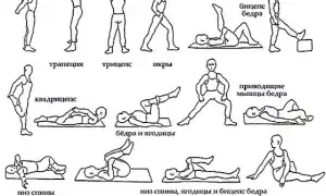 Упражнения (ЛФК) при протрузии поясничного отдела позвоночника