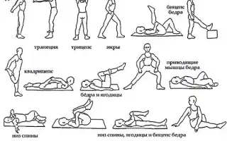 Упражнения (ЛФК) при протрузии поясничного отдела позвоночника
