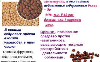 Скорлупа кедрового ореха. Лечебные свойства, применение