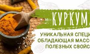 Куркума. Польза, как принимать в лечебных целях при онкологии, для печени, суставов, снижения веса, холестерина