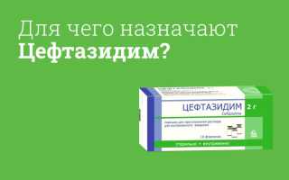 Цефтазидим уколы. Инструкция по применению взрослым