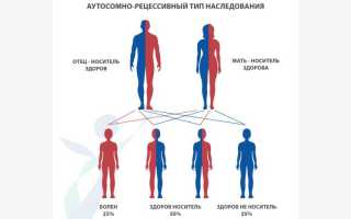 Как передаются гены по наследству. Генетика от родителей к детям
