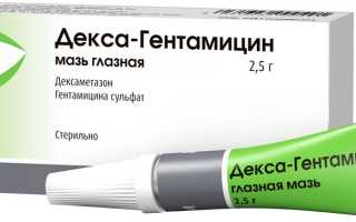 Декса-Гентамицин (Dexa-Gentamicin) мазь глазная. Инструкция, аналоги, цена