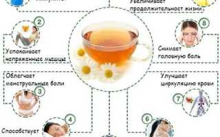 Отвар ромашки. Польза, как приготовить, применение