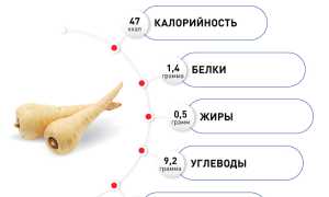 Пастернак растение. Польза и вред, применение