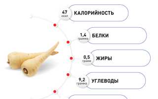 Пастернак растение. Польза и вред, применение