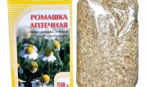 Ромашка при цистите. Можно ли пить, ванночки, отвар