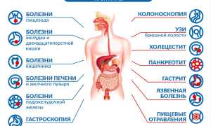Гастроэнтерология. Что это в медицине, что лечит, заболевания