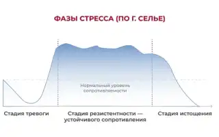 Стадии стресса в психологии. Что это такое по Селье, Торсунову, характеристика