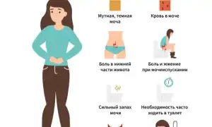 Температура при цистите у женщин. Может ли быть, сколько держится