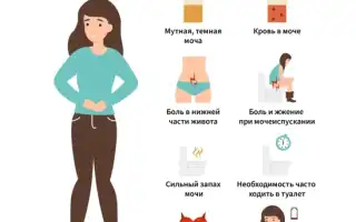 Температура при цистите у женщин. Может ли быть, сколько держится