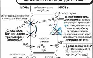 Калийсберегающие диуретики последнего поколения. Что это такое, список препаратов, механизм действия