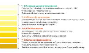 Почему моча желтая, ярко желтого лимонного цвета у женщин. Причины