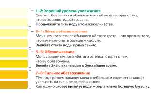 Почему моча желтая, ярко желтого лимонного цвета у женщин. Причины
