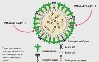 Орвирем. Инструкция по применению для детей, цена, аналоги, отзывы