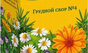 Грудной сбор. 4 состава трав: 1, 2, 3, 4. Инструкция для детей, как пить при беременности от кашля, бронхита