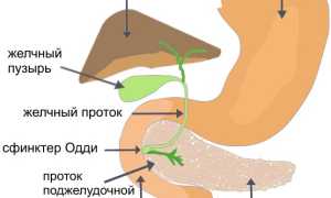 Симптомы боли поджелудочной железы. Признаки панкреатита, лечение поджелудочной железы