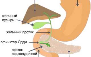 Симптомы боли поджелудочной железы. Признаки панкреатита, лечение поджелудочной железы