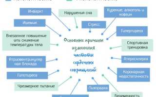 Норма пульса у взрослого человека: женщины, мужчины. Таблица