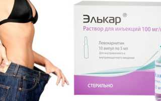 Элькар для похудения. Как принимать, инструкция по применению, отзывы