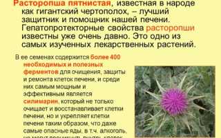 Расторопша для печени: как принимать порошок, масло, шрот, в таблетках, капсулах. Лечебные свойства, отзывы врачей, цена