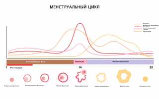 Лютеиновая фаза: что это, какой день менструального цикла, норма прогестерона у женщин, как рассчитать