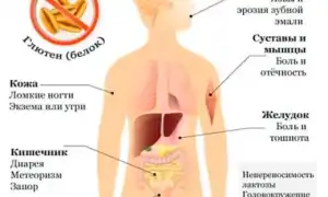 Анализ на глютеновую непереносимость. Как сдавать, как проводят, расшифровка