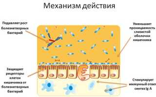 Пробиотики для новорожденных. Список лучших