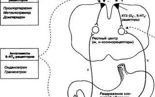 Церукал (Cerucal). Дозировка для детей, взрослым, инструкция по применению, аналоги, от чего помогает, цена
