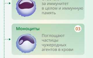 Лимфоциты повышены у ребенка в крови, нейрофилы понижены. О чем это говорит, норма по возрасту, таблица. Причины, симптомы