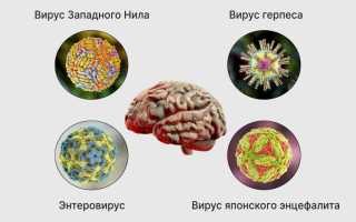 Последствия клещевого энцефалита головного мозга