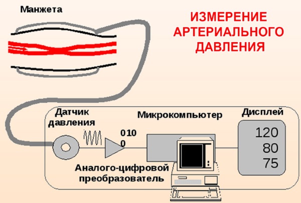 Алгоритм измерения АД (артериального давления). Приборы, правила, техника, методы
