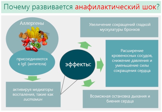 Острая сосудистая недостаточность (ОСдН). Что это такое, чем характеризуется, как проявляется