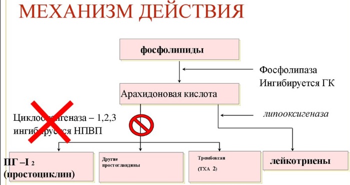 Лекарства от боли в животе у взрослого