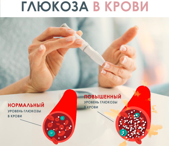 Анализ крови, слюны для похудения: на пищевую непереносимость, гормоны, нутригенетический