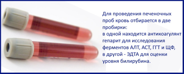 Анализ крови, слюны для похудения: на пищевую непереносимость, гормоны, нутригенетический