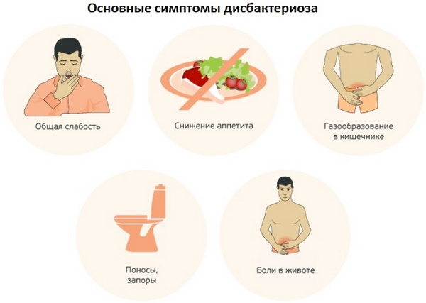 Анализ на чувствительность к бактериофагам, дисбактериоз кишечника. Расшифровка