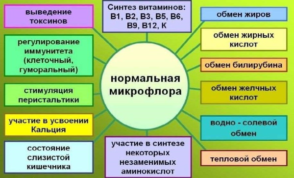 Анализ на чувствительность к бактериофагам, дисбактериоз кишечника. Расшифровка