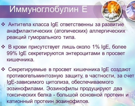 Анализы на аллергены у взрослых. Цена, какие бывают, расшифровка