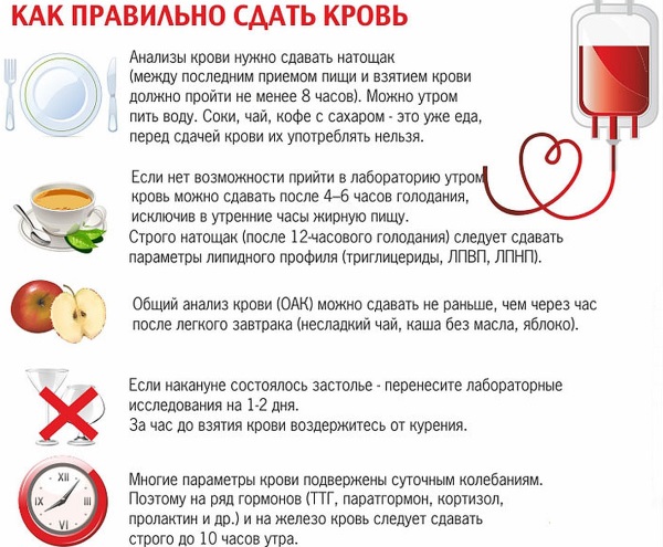 Андростендион повышен у женщин. Что это, норма, за что отвечает, когда сдавать, причины отклонения